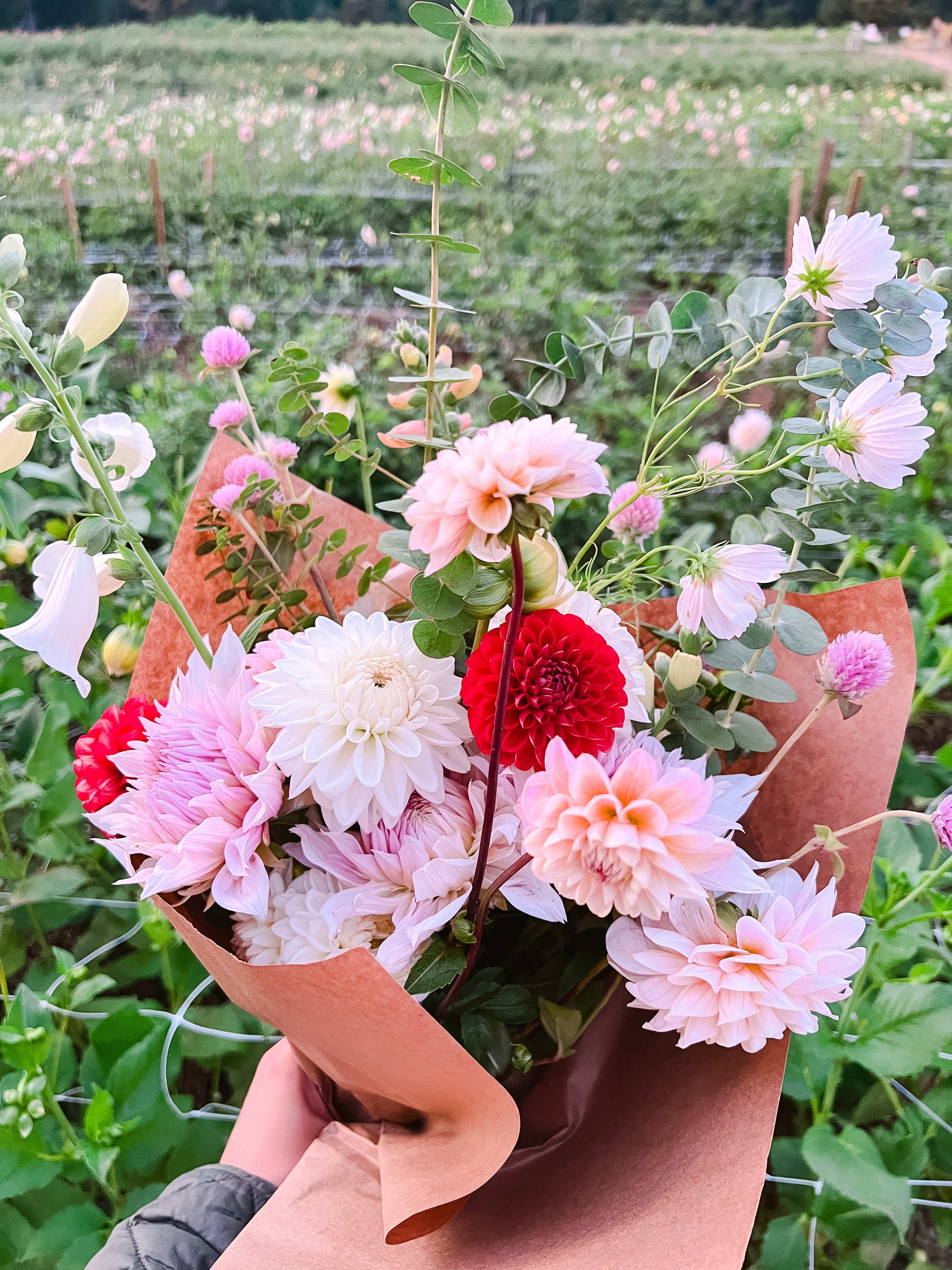 Floral Diary: Cross Street Flower Farm Tour & Make-Your-Own-Bouquet