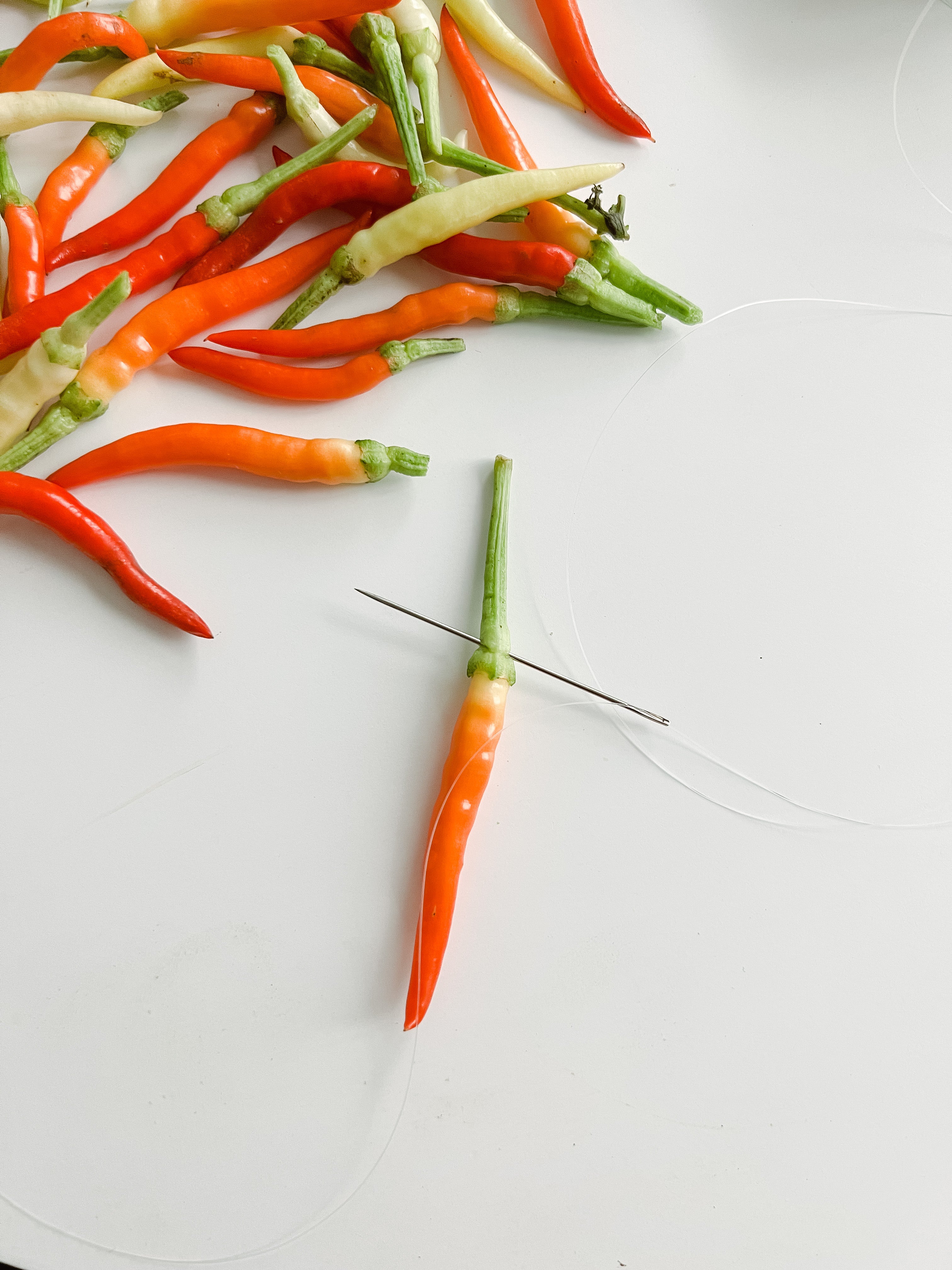 DIY: Dried Pepper Wreath