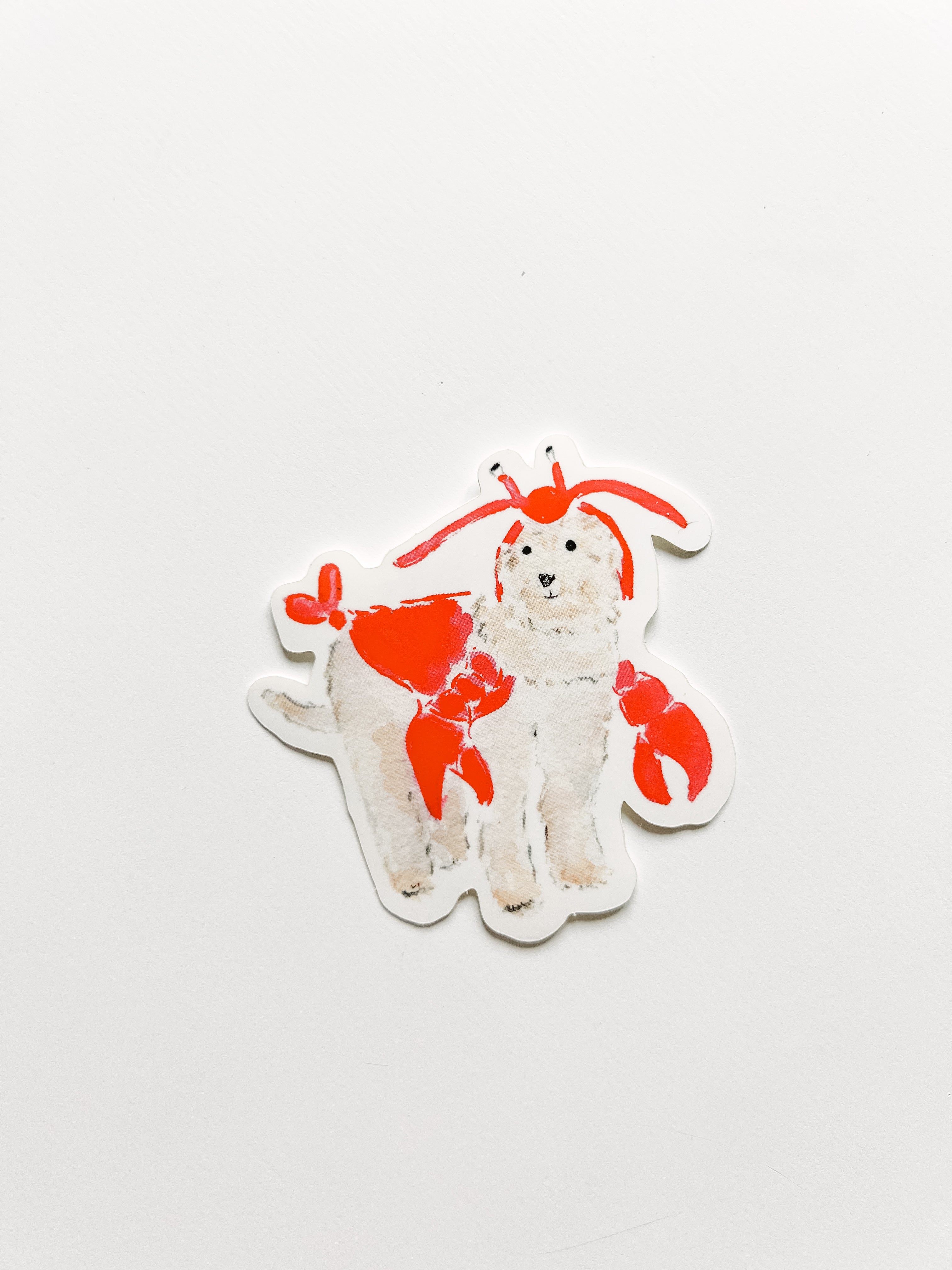 dog in lobster costume sticker