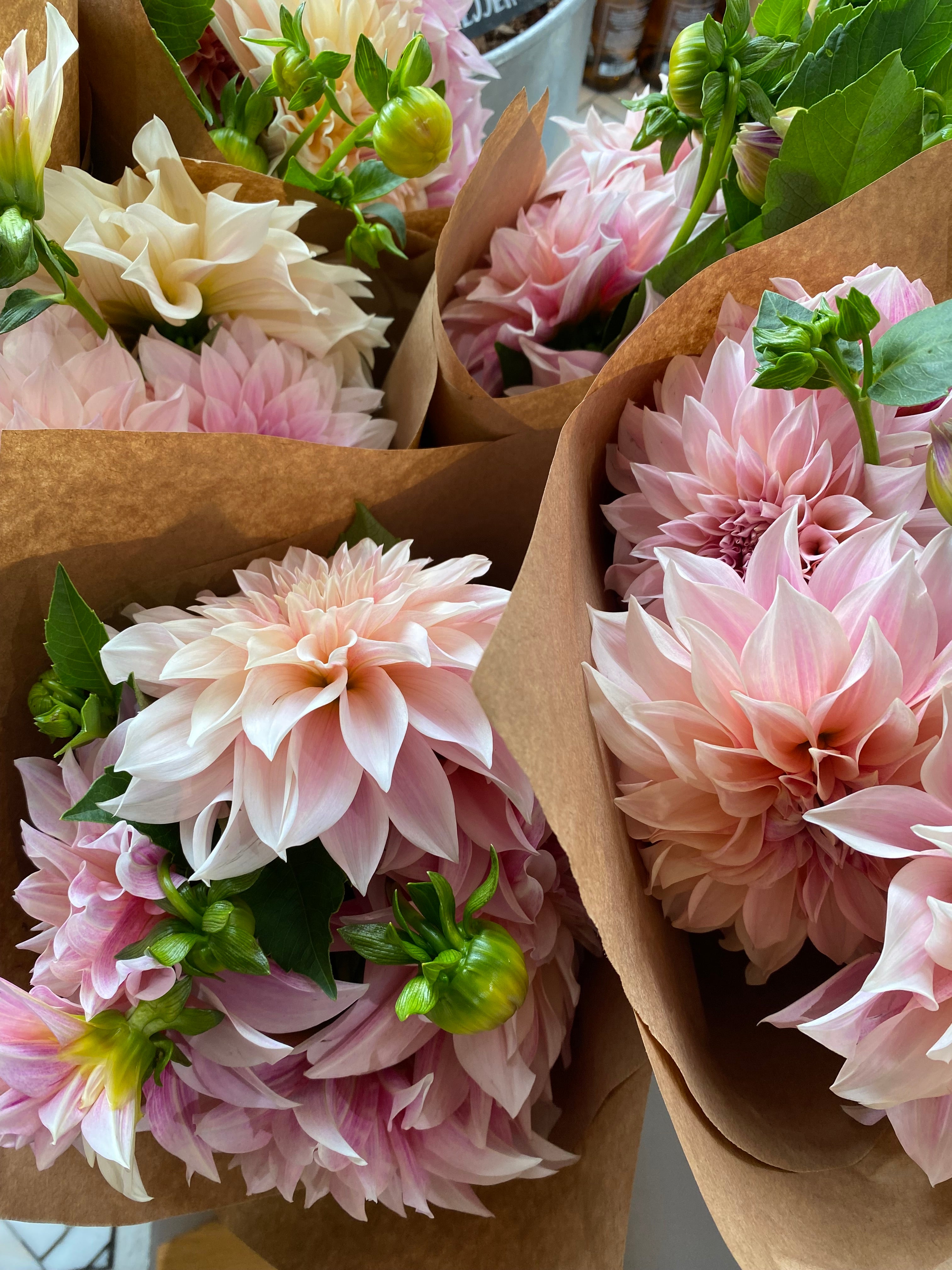 bouquet of flowers 