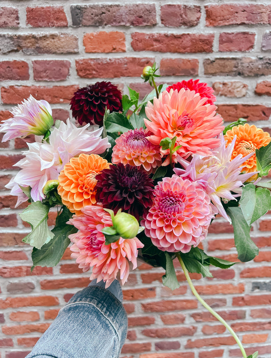 Floral Diary: This Weeks Flower Share
