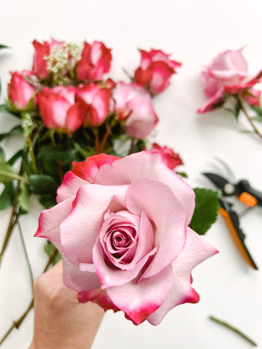 Floral Diary: How to Reflex Roses