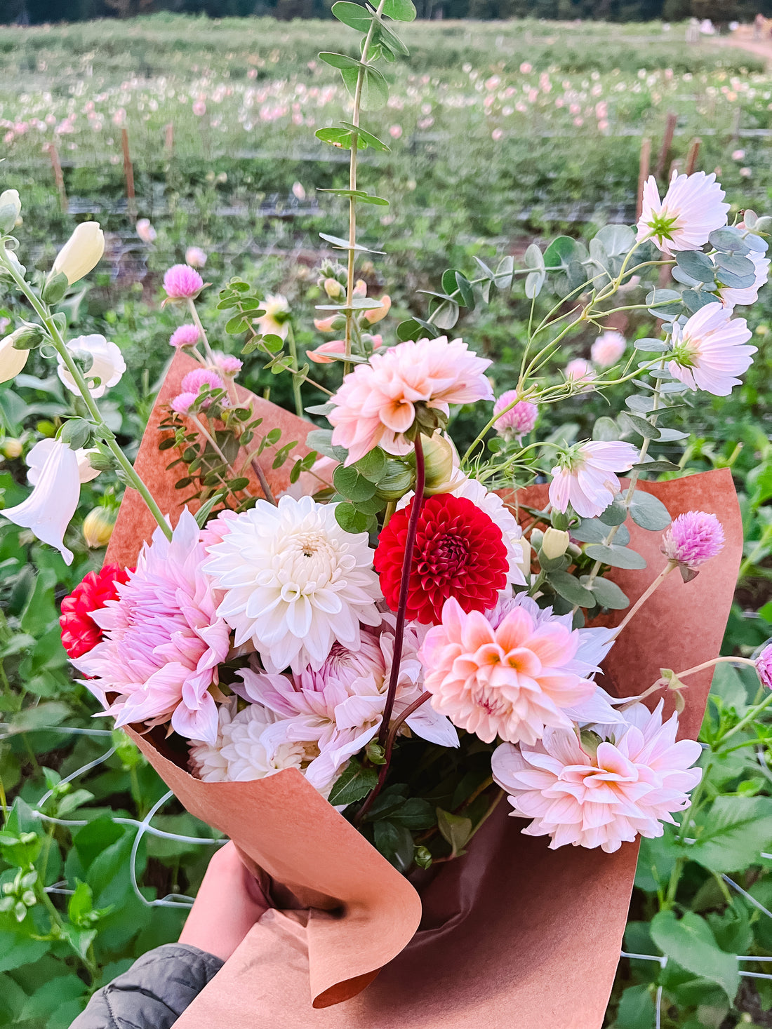 Floral Diary: Cross Street Flower Farm Tour & Make-Your-Own-Bouquet