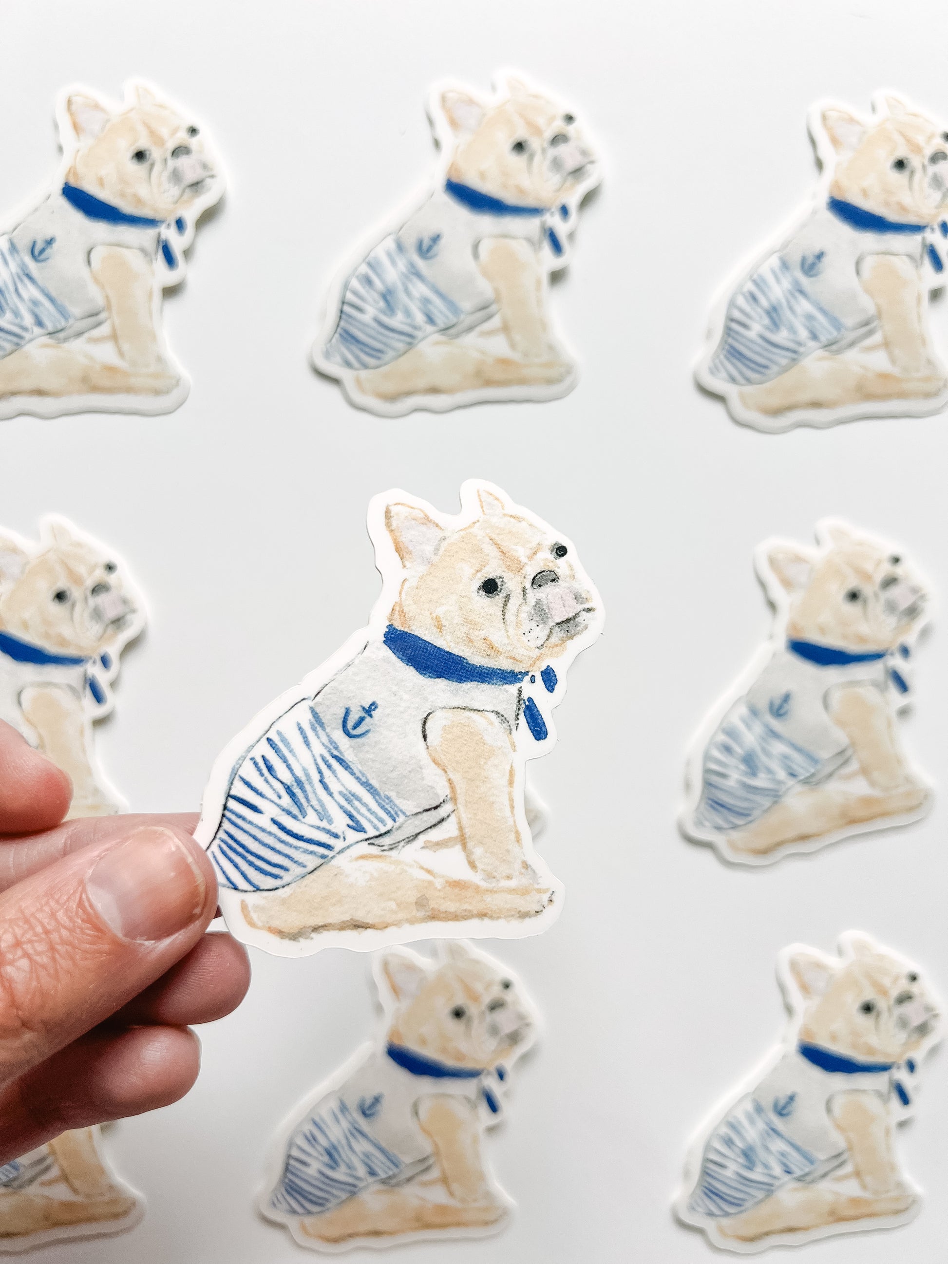 french bulldog wearing a sailor costume sticker