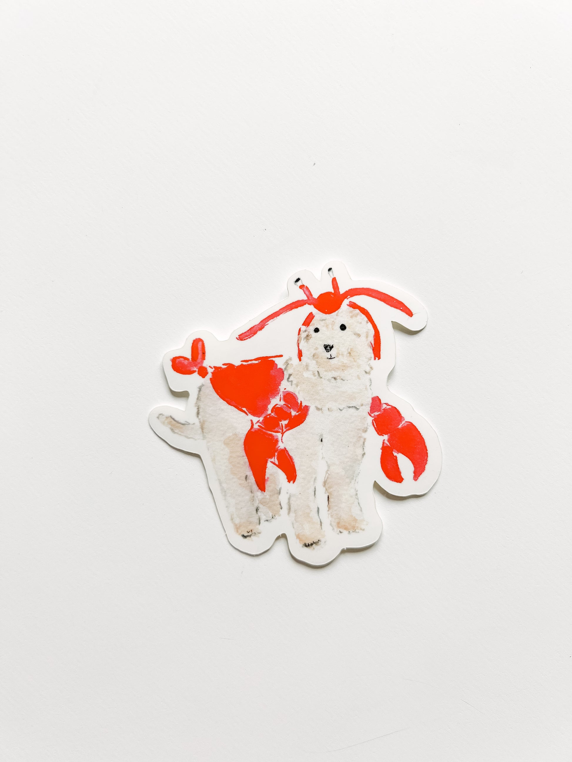 dog in lobster costume sticker 